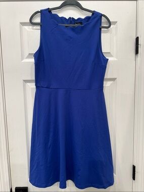 Nicole Miller Cobalt Blue Sleeveless Mini Dress (21)